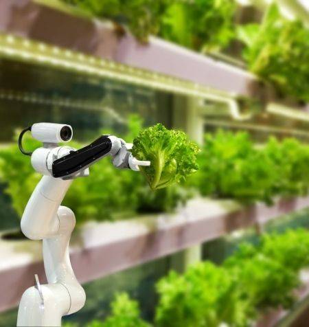ManifestoFoodtech
