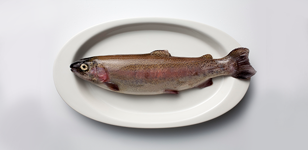 Spanish farmed fish